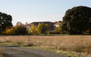 Otoño en Hotel Caserío Aldeallana: Naturaleza en su Esplendor y Planes Perfectos para Disfrutar.​