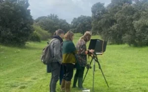Las Tendencias en Eventos de Marca: El Auge de las Presentaciones en Espacios Outdoor