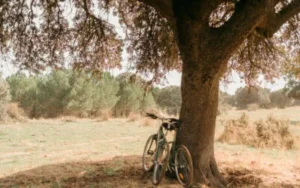 Escapadas de Primavera: Disfruta de un Fin de Semana Único en Aldeallana​