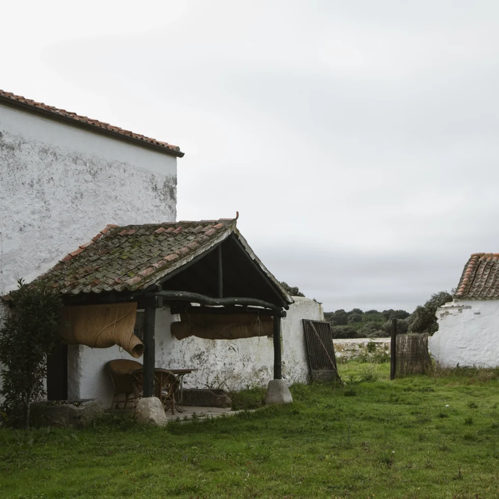 rodajes-980x980